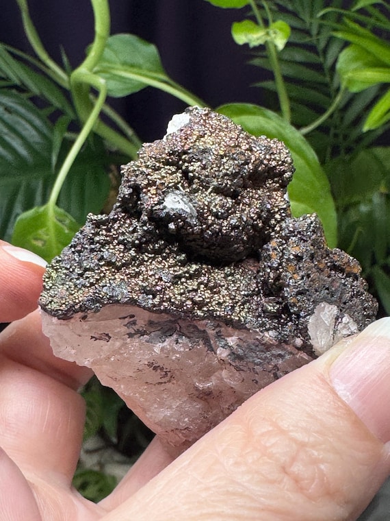 Quartz With Iridescent Hematite~Graves Mountain~Lincolnton GA~Ledford’s Minerals