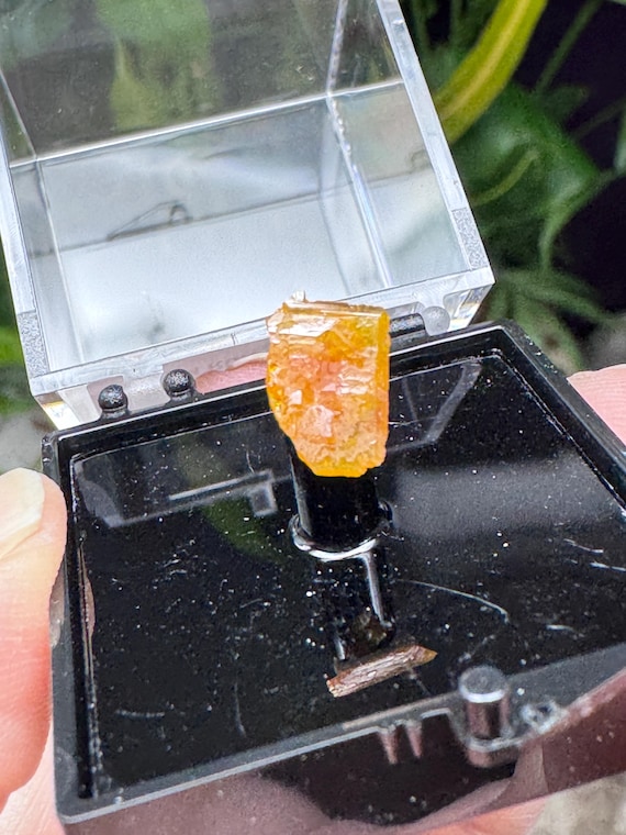 Vibrant Orange~Mammoth Arizona~Wulfenite Cluster Thumbnail~Nature Made Goods~Ledfords minerals
