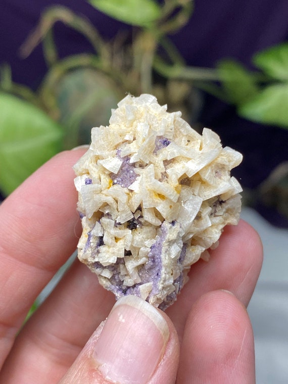 Kentucky Barite and Purple Fluorite