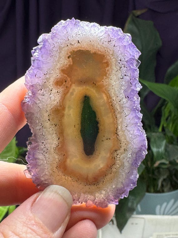 Amethyst Polished Slice~Brazil