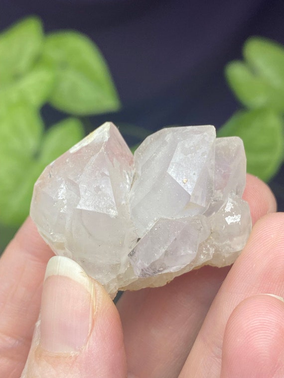 Ivy Farms Georgia Amethyst Cluster
