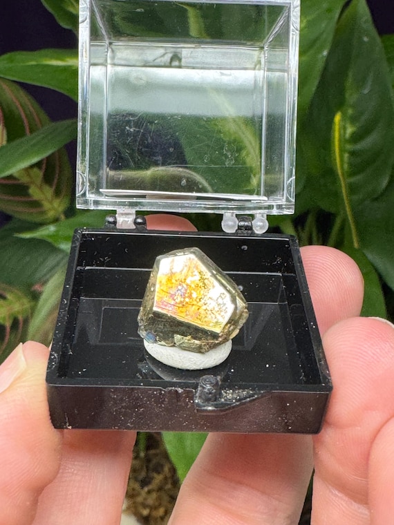 Pyrite Crystal Thumbnail ~Purple Hope Claim~Washington~Collected by Joseph George~Ledford’s Minerals