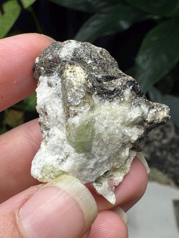 Green Beryl ~North Carolina Crabtree Emerald Mine~Ex Terry Ledford Collection~Ledford’s Minerals