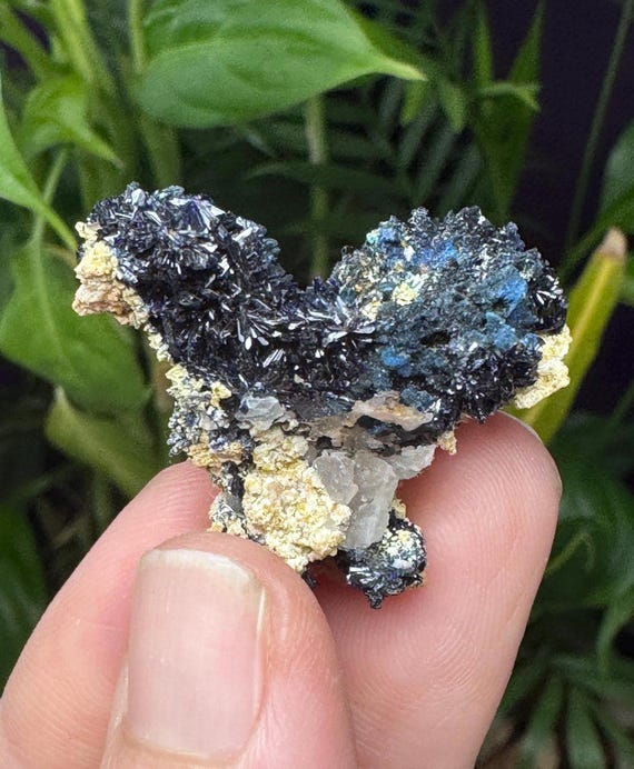 Azurite~Socalo Mine~Zacatas, Mexico~Nature Made Goods~Ledford’s Minerals