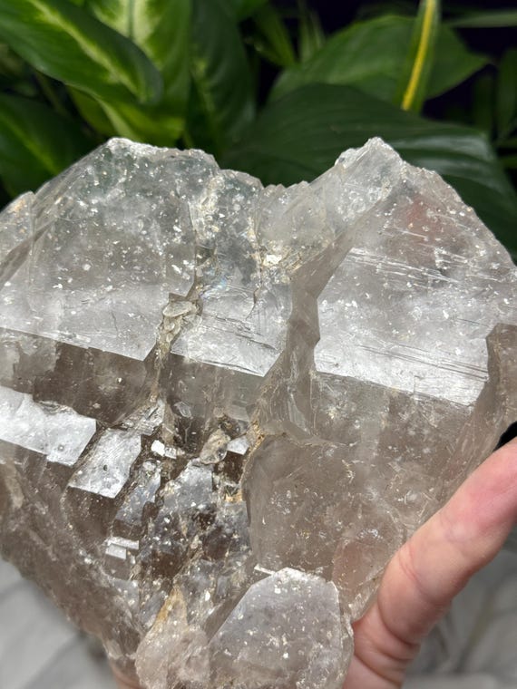 Beautiful North Carolina Quartz Cluster with Mica~Ex Terry Ledford collection~Ledford’s Minerals