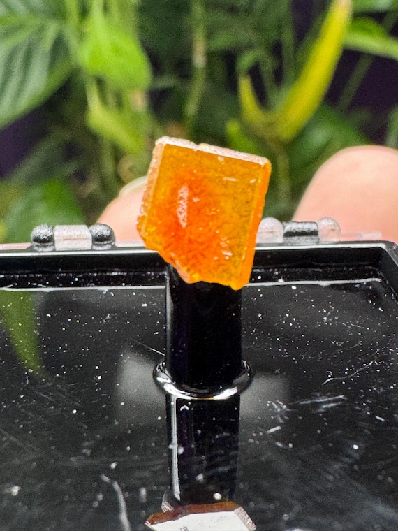 Vibrant Orange~Mammoth Arizona~Wulfenite Cluster Thumbnail~Nature Made Goods~Ledfords minerals