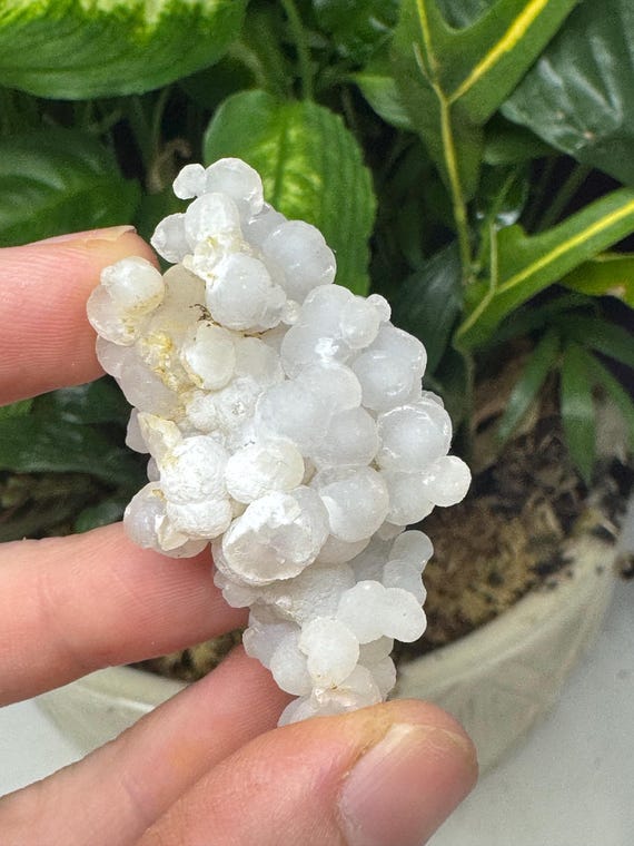 Purple Grape Agate~Indonesia ~Ledford’s Minerals