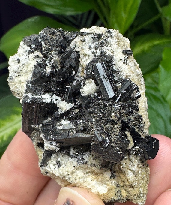 Black Schorl Cluster on Albite~North American Emerald Nine~Hiddenite North Carolina~Crystalline Dream Minerals~Ledford’s Minerals