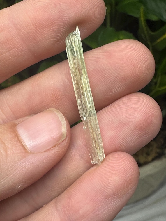 Rare Chromium Green North Carolina Hiddenite Crystal~Ex Terry Ledford Collection~Ledford’s Minerals