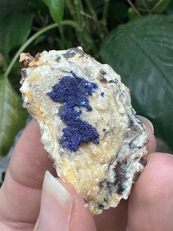 Azurite~Socalo Mine~Zacatas, Mexico~Nature Made Goods~Ledford’s Minerals