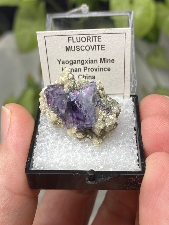 Lustrous Fluorite and Muscovite