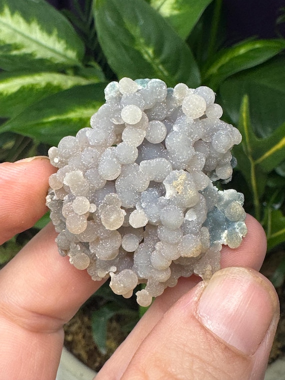 Purple Grape Agate~Indonesia ~Ledford’s Minerals