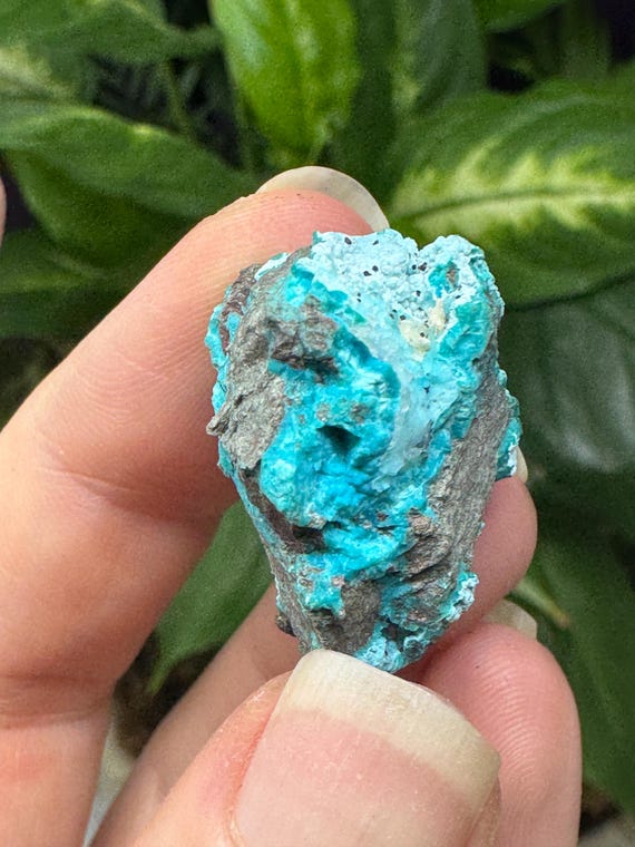 Chrysocolla~The Planet Mine~Arizona~Nature Made Goods~Ledford’s Minerals