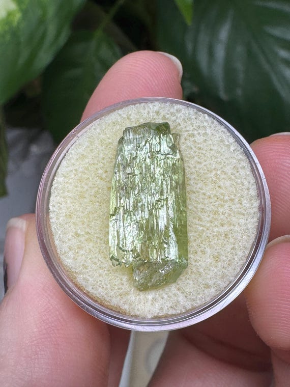 Rare North Carolina Hiddenite Crystal Ex Terry Ledford Collection~Crystalline Dream Minerals~Ledfords Minerals
