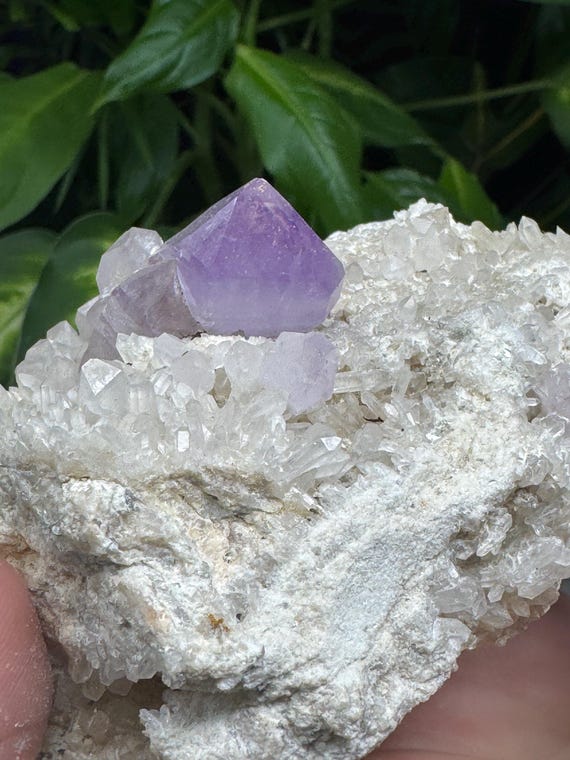 JXR Amethyst Cluster on Druzy