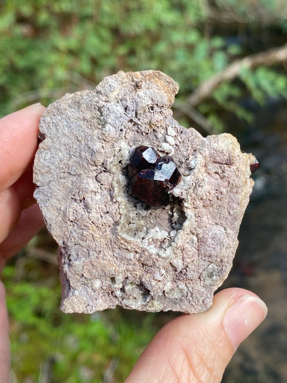 Garnet Hill Nevada Almadine Garnet in Matrix