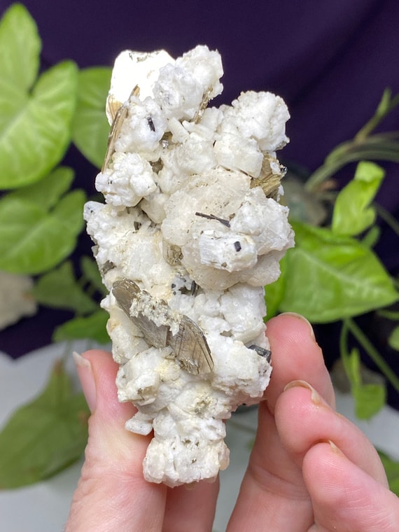 North Carolina Albite and Feldspar with Tourmaline and Mica~Ex Terry Ledford Collection~Nature Made Goods~Ledford's Minerals