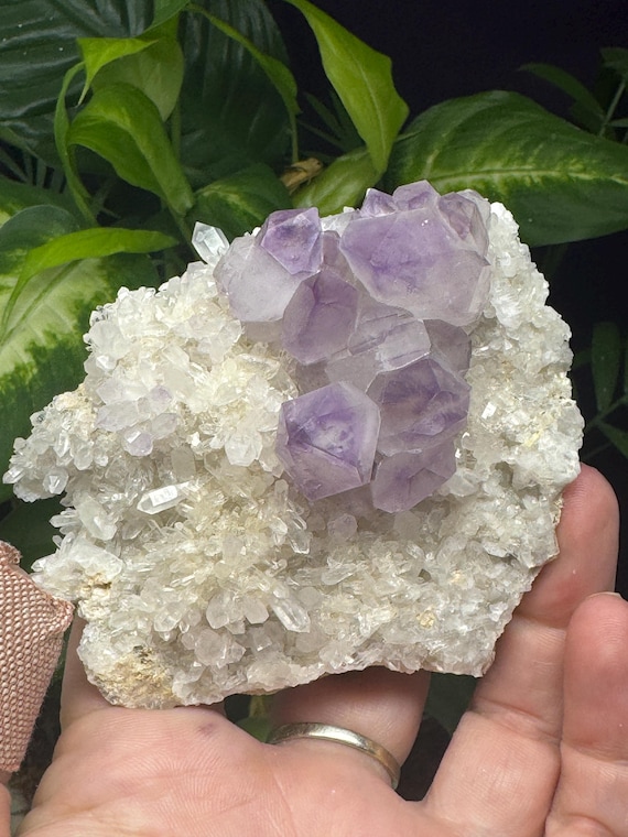 Amethyst with Druzzy Crystals-Jackson's Crossroads Amethyst Mine-Wilkes County Georgia-Crystalline Dream Minerals - Ledfords Minerals