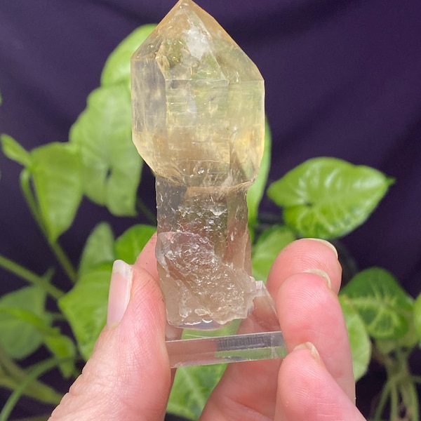 Hallelujah Junction Nevada Smoky Quartz Scepter