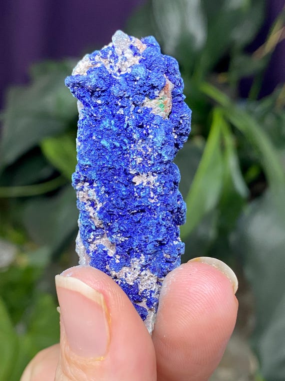 Tsumeb Azurite with Malachite