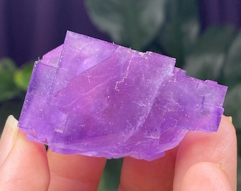 Purple Hasties Quarry Illinois Fluorite With UV Reactive Petroleum
