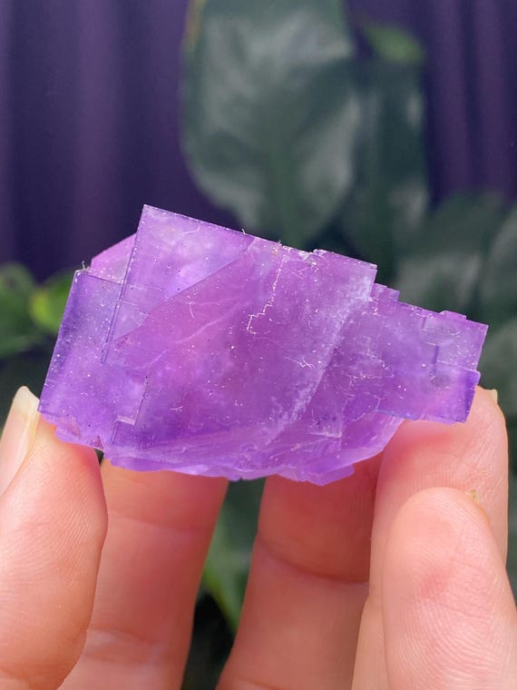 Hasties Quarry Illinois Fluorite with UV Reactive Petroleum Inclusions