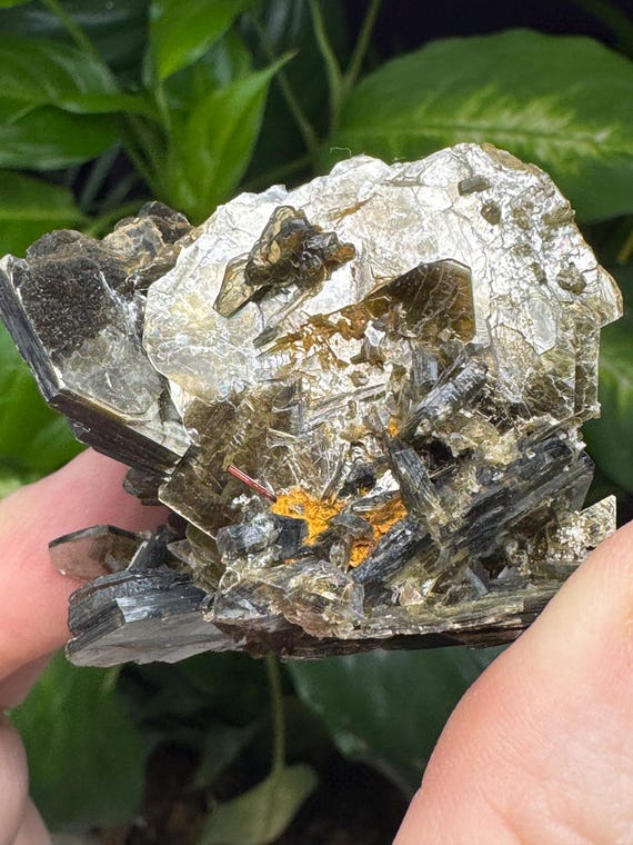 Hiddenite North Carolina Green Mica Cluster with Red Rutile-Ex Terry Ledford Collection~Crystalline Dream Minerals~Ledfords Minerals