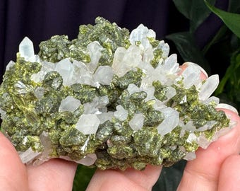 Epidote in Quartz~Morocco