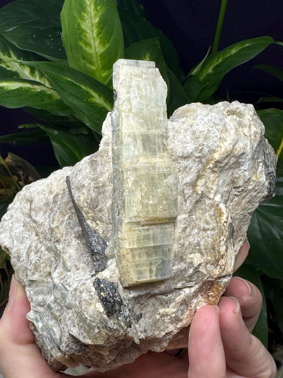 North Carolina Kyanite with Tourmaline~ Ex Terry Ledford~Ledford's Minerals