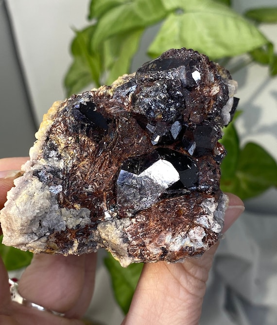 Large Graves Mountain Red Rutile