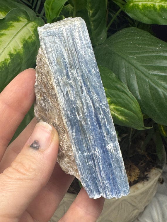 Kyanite~Buncombe County NC ~Ex Terry Ledford Collection~Nature Made Goods~Ledford’s Minerals