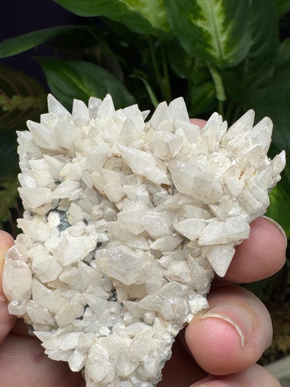 Dogtooth Calcite Cluster~Ledford’s Minerals