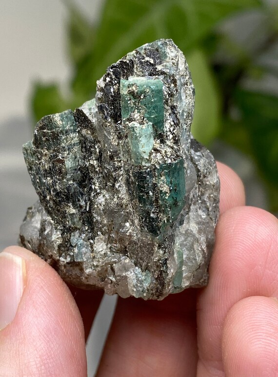 Crabtree Mine Emerald Cluster in Quartz and Biotite