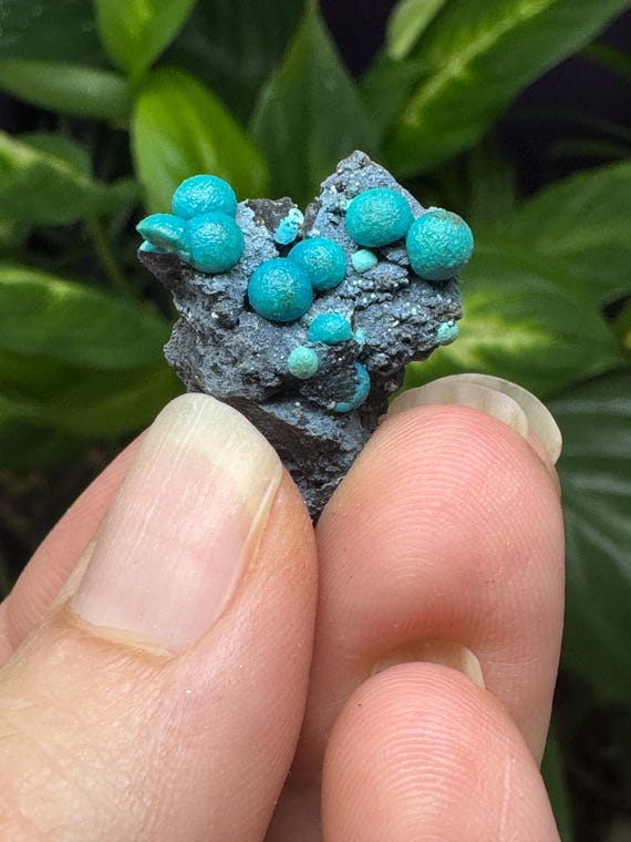 Chrysocolla~The Planet Mine~Arizona~Nature Made Goods~Ledford’s Minerals