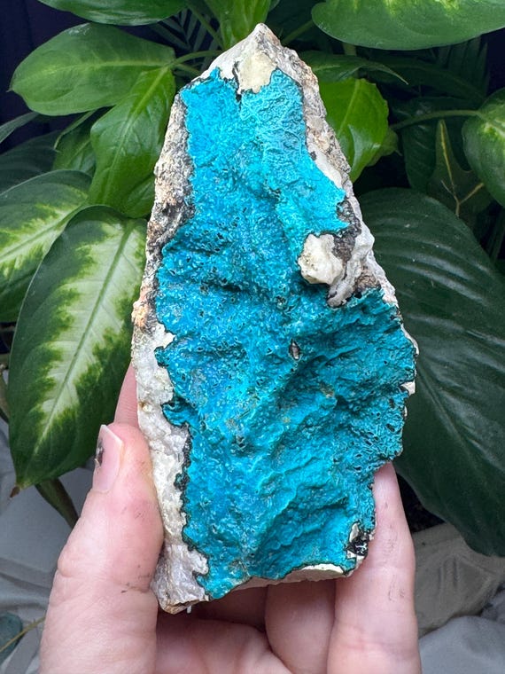 Chrysocolla~Italy~Crystalline Dream Minerals~Ledford’s Minerals