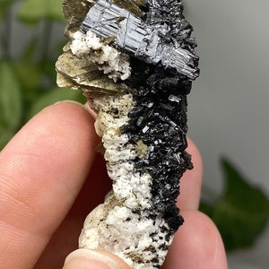 Albite with Tourmaline and Mica