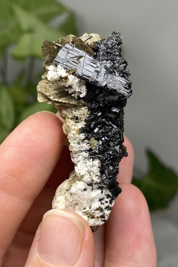 Albite with Tourmaline and Mica
