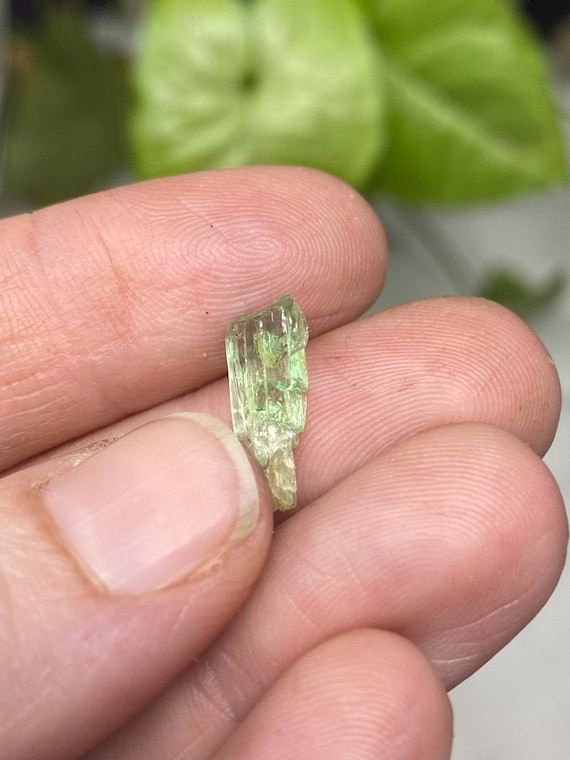 Rare Chromium Green North Carolina Hiddenite Crystal