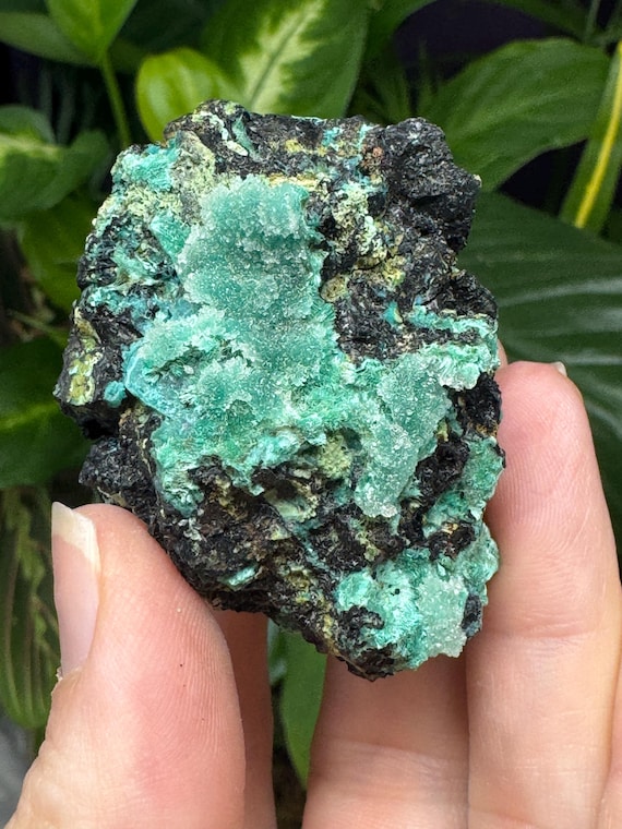 Chrysocolla~Mexico~NatureMadeGoods~Ledfords Minerals