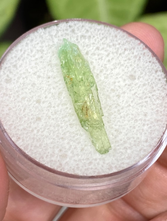 Rare Chromium Green North Carolina Hiddenite Crystal