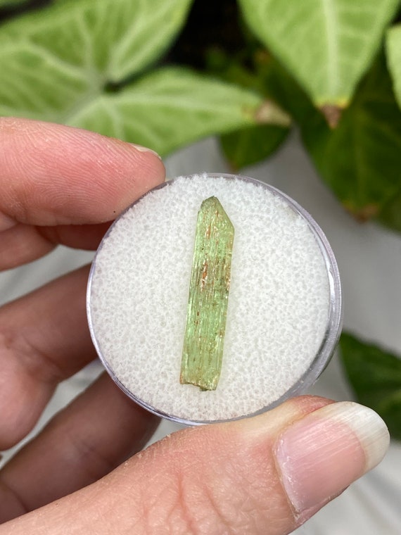 Rare Chromium Green North Carolina Hiddenite Crystal