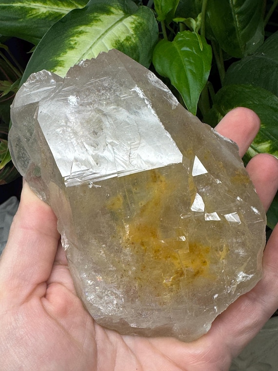 Large Alluvial Smoky Quartz ~North American Emerald Mine~Coll by T. Ledford~Hiddenite NC~Nature Made Goids~Ledford’s Minerals