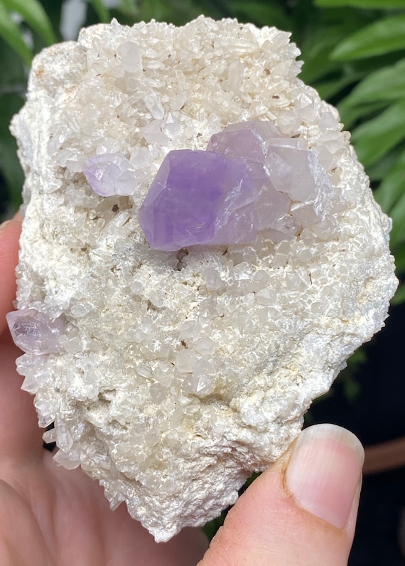 JXR Amethyst Cluster on Druzy