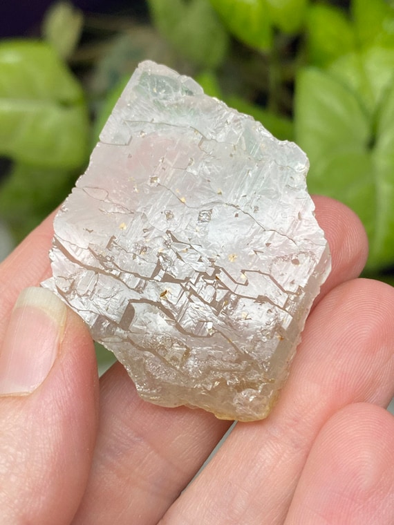 Lustrous North Carolina Emerald Mine Healer Quartz