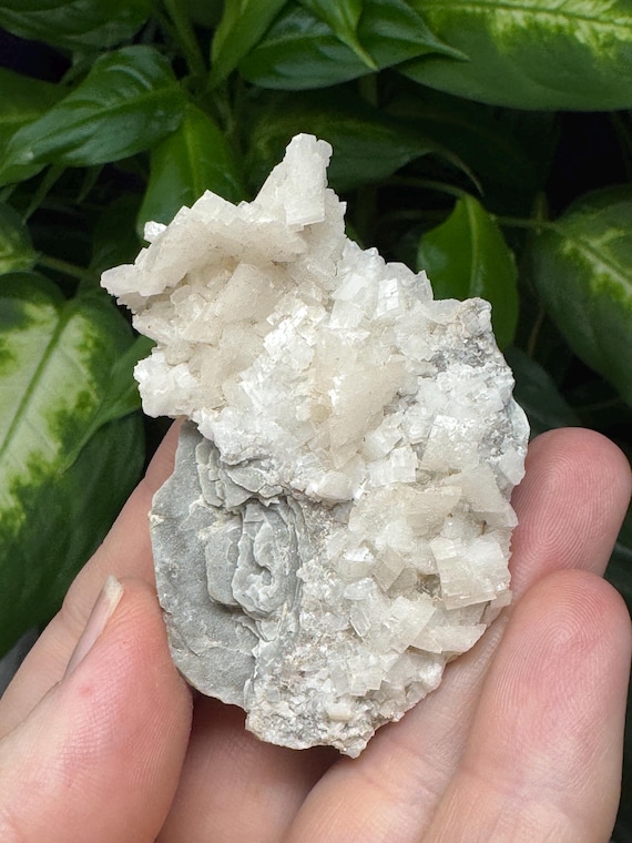 Pink Dolomite Cluster, Woodlawn Quarry Mineral Specimen
