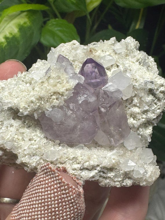 Amethyst with Druzzy Crystals-Jackson's Crossroads Amethyst Mine-Wilkes County Georgia-Crystalline Dream Minerals - Ledfords Minerals