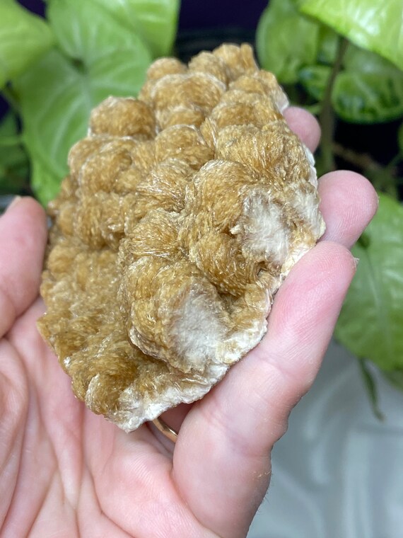 Poland Coral Barite