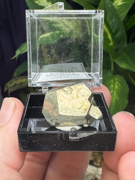 Pyrite Crystal Thumbnail ~Purple Hope Claim~Washington~Collected by Joseph George~Ledford’s Minerals