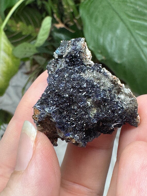 Azurite~Socalo Mine~Zacatas, Mexico~Nature Made Goods~Ledford’s Minerals