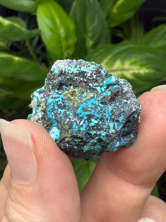 Chrysocolla~The Planet Mine~Arizona~Nature Made Goods~Ledford’s Minerals